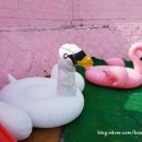 동산가축약품도매상사 | 땡큐로드 백조튜브 증정식 ♡