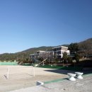 흥전초등학교 이미지