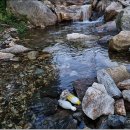 황골공원 이미지