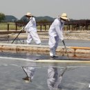 도시공원 행정사사무소 이미지