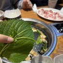 두메골쌈밥 | 은평구 녹번동 쌈밥의 정석, 청정쌈밥전문점 <두메골돌솥쌈밥> 내돈내산 후기