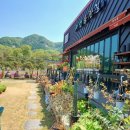 자연등잔길 이미지