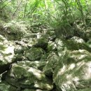 한라산둘레길 수악길 이미지