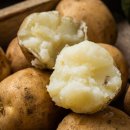 내내농수산 이미지