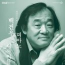 백건우 피아노 리사이틀 이미지