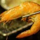 육회공작소 이미지