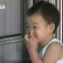 뽀짝케이크