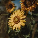 조경기능사 필기과정 이미지