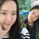 숲속의 예쁜별 이미지