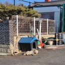 휘게캠피크 이미지