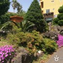 블루펄리조트 이미지