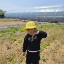 도윤농장 이미지