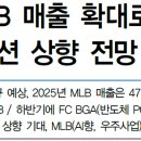 대덕전자 | [24.11.12] 대덕전자 NDR 후기 by 대신증권