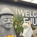 낙원로 | [제주] 엄마랑 강아지랑 2박3일 애견동반 여행 코스 총정리 (서쪽 일정 공유)