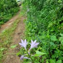 지천농장 이미지