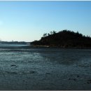 삼호옥이네 이미지