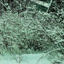 우장산근린공원 이미지