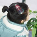 코코(COCO)헤어 네이버블로그