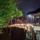 여행 영어(야간) 이미지