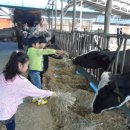 드림목장 이미지