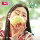 대박농수산유통 - 성남시 수정구 수정북로 47 | 대박농수산유통