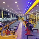 LEO GYM 이미지