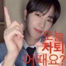 청춘담아 이미지