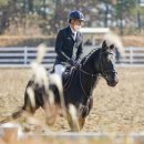 승용목장 이미지