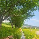 가곡체육공원 이미지