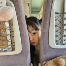 한길넷 | [전주여행] 엄마 넷, 아이 여섯 우당탕탕 1박2일 전주여행 후기