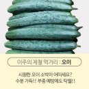 하나플러스마트 이미지