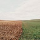 (주)내츄럴비전 이미지