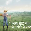 라파 팜 이미지