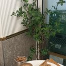 코너드커피 | 달콤한 디저트 맛집, 신사역 카페 [ 코너드커피 ]