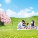 센트럴팜 이미지