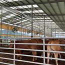 강화축산 이미지