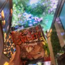 그래비티식스 | [20240922] 아직 거기 살아(인스파이어 데이식스 막콘 후기)