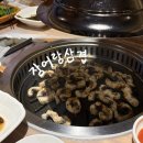 오지는장어 | 울산 언양 장어 맛집 추천, ‘장어랑삼겹’ 내돈내산 후기