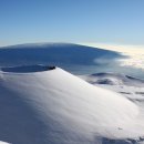 (주)초록숲환경 이미지