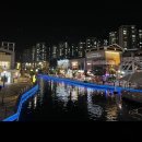 (주)산책 | [김포 애견 동반] 라베니체 주·야경 산책 후기