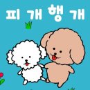 피개행개 이미지