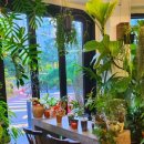 플렌티숲 이미지