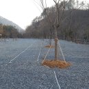 무릉도원면-42 이미지