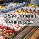 애견시대 이미지