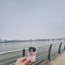 TY in Han River 🌞 이미지