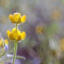 “세속의 재물로라도 친구를 사귀어라.” 이미지