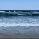 망상농장 이미지