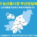 반여시장 이미지