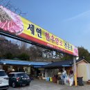 세연한우암소