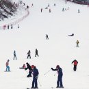 수안보이글벨리스키리조트 이미지